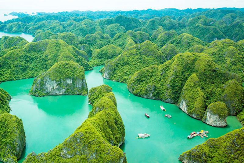 Luxury Travel Trends 2026: Why Travelers Are Choosing Halong Bay Cruises